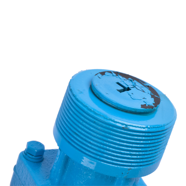 抽油泵 Fuel Transfer Pump Cast Iron Heavy Duty Pump 12V 15GPM for Diesel Biodiesel Blue-10