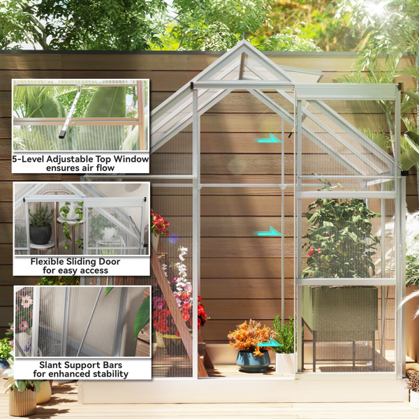 Walk-in Tunnel Greenhouse 