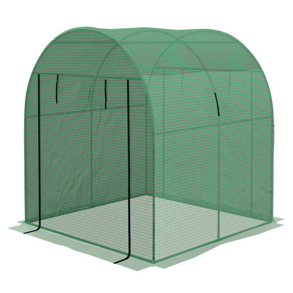  Mini Greenhouse