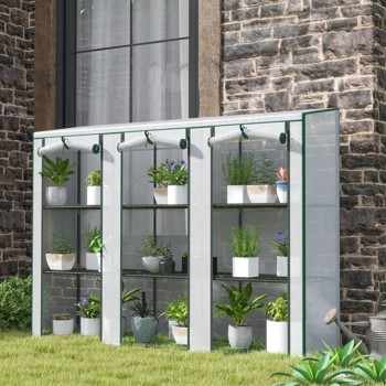  Mini Greenhouse