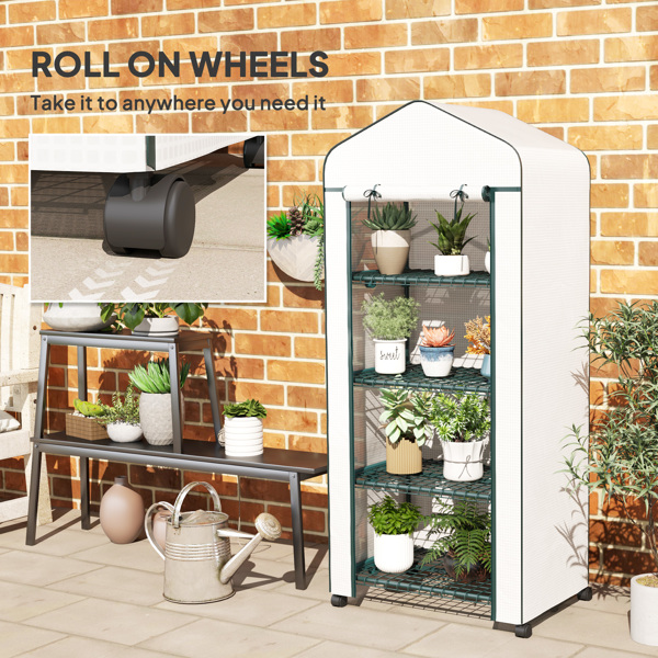 便携式温室（周末不发货）-5