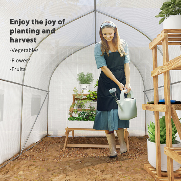 Mini Walk-in Greenhouse