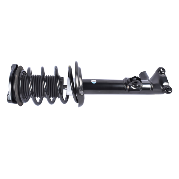 Front Left Shock Absorber Strut Assembly For Mercedes-Benz C250 C350 E350 2010-2014 2043200900 2073231100