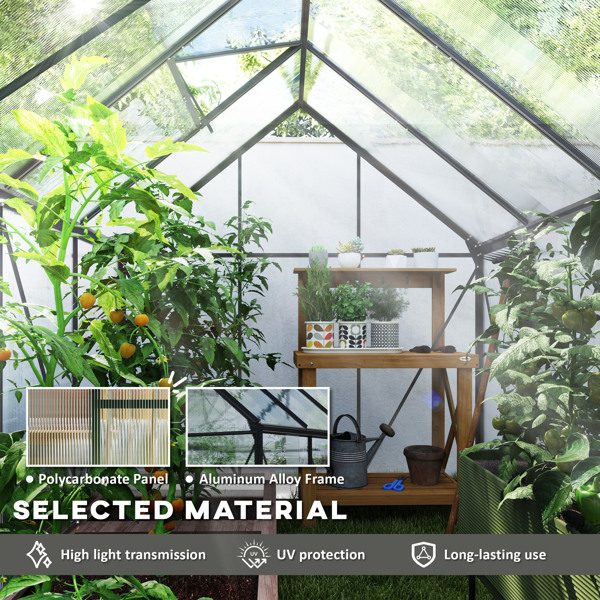Walk-in Tunnel Greenhouse 