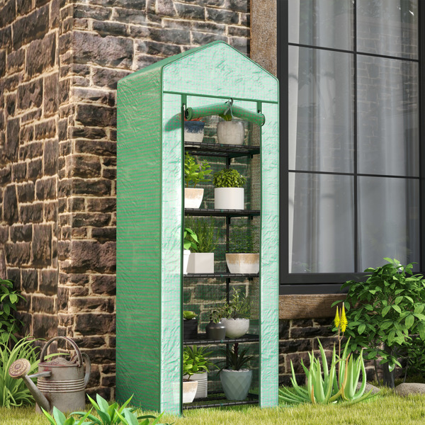 Mini Greenhouse