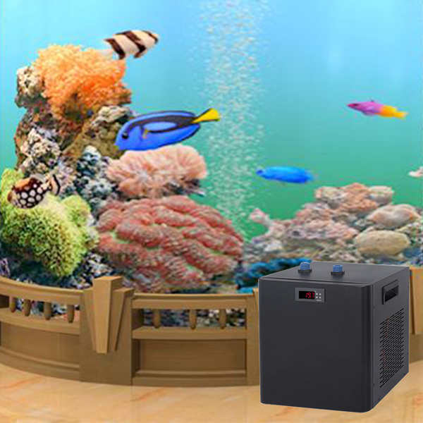 300L/79GAL 鱼缸冷水机（110V 美规）-4