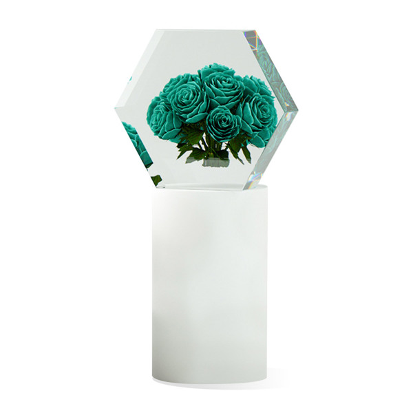 DIY Epoxy Resin Silicone Mold Large Mold For Resin, Flower Specimen Silicone Mold