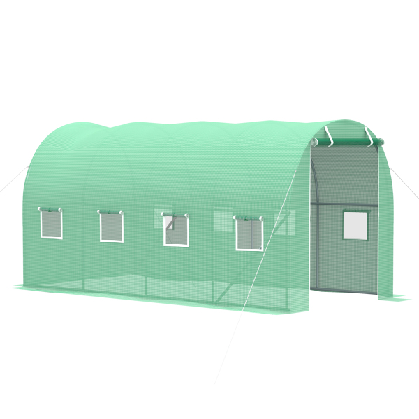 Walk-in Tunnel Greenhouse 