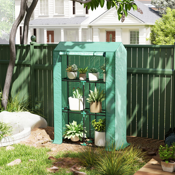 Mini Walk-in Greenhouse ( Amazon Shipping)（Prohibited by WalMart）