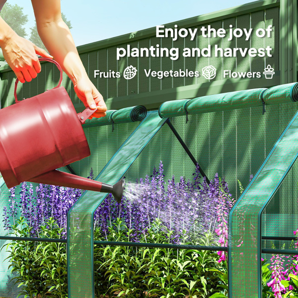 mini 温室棚 （ Amazon Shipping）（WalMart禁售）（周末不发货）-5