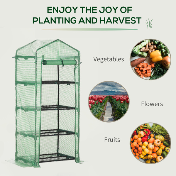 Mini Greenhouse