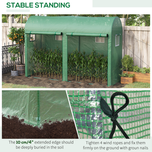 Mini Walk-in Greenhouse ( Amazon Shipping)（Prohibited by WalMart）