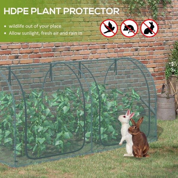Mini Walk-in Greenhouse/Crop Cage