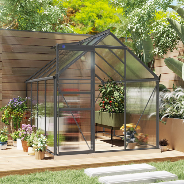 Walk-in Tunnel Greenhouse 