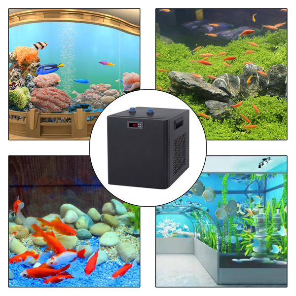 300L/79GAL 鱼缸冷水机（110V 美规）-5
