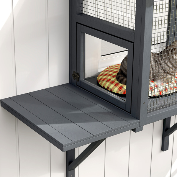 猫笼、宠物笼（周末不发货）（ Amazon Shipping）（WalMart禁售）-4