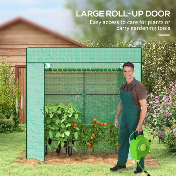 Mini Walk-in Greenhouse ( Amazon Shipping)（Prohibited by WalMart）
