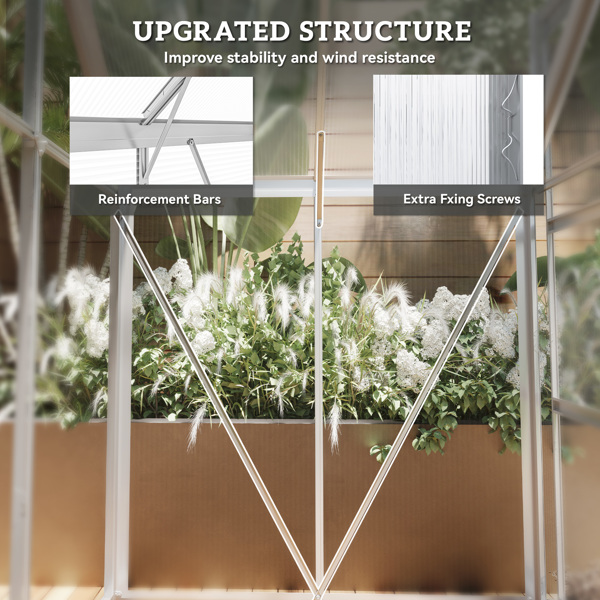 Walk-in Tunnel Greenhouse 