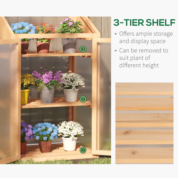Wooden Cold Frame Greenhouse