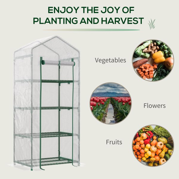 Mini Greenhouse