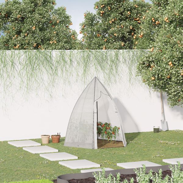 Mini  Greenhouse