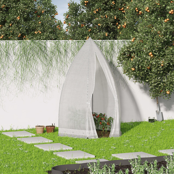 Mini  Greenhouse