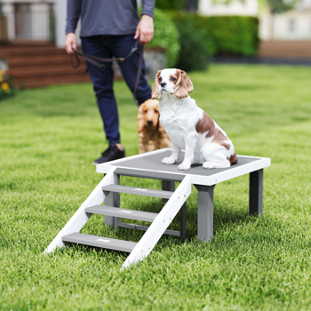 Wooden Dog Training Place Board  ( Amazon Shipping)（Prohibited by WalMart）