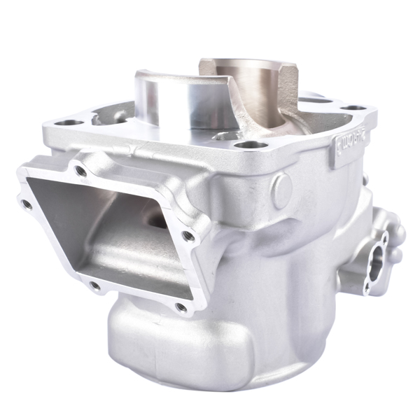 气缸 Cylinder Assembly Jug BF1-11311-00-00 Fits Yamaha YZ250X 2016-2023 Cylinder-1