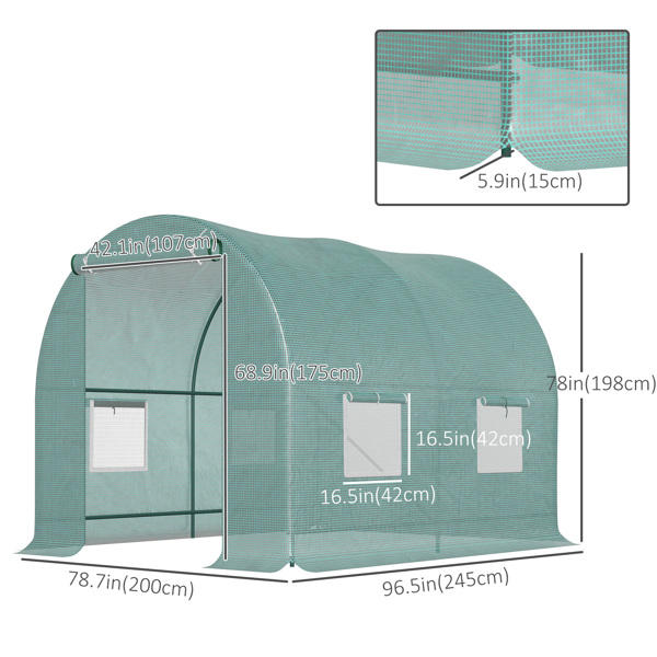Walk-in Tunnel Greenhouse 