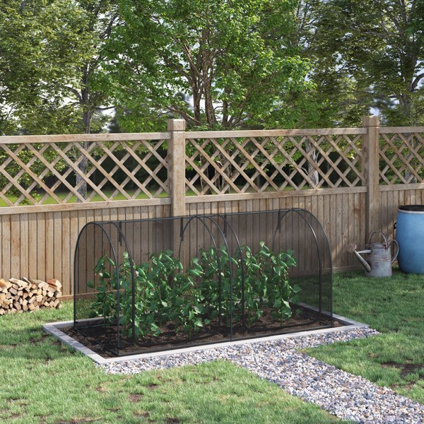 Crop Cage, Garden Plant Protector