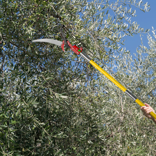 24ft Manual Pole Saw, Lightweight Tree Trimmers Long Handle Pruner Set, Sharp Steel Blade and Scissors Pole Saw for Trimming Palm, Pear Tree, Fir Tree, Other High Trees and Shrubs
