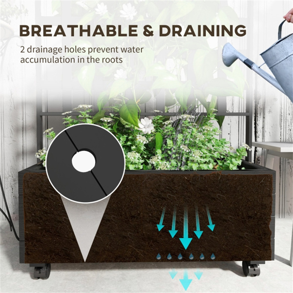 室内植物架、花架（周末不发货）（ Amazon Shipping）（WalMart禁售）-5