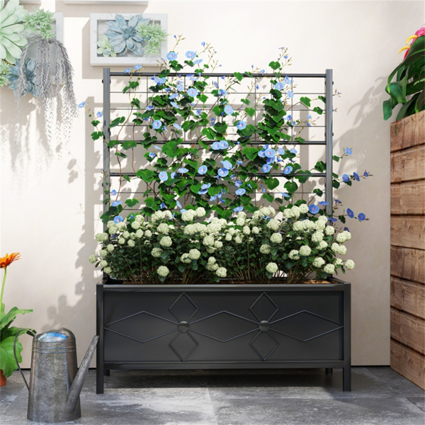 室内植物架、花架（周末不发货）（ Amazon Shipping）（WalMart禁售）-6