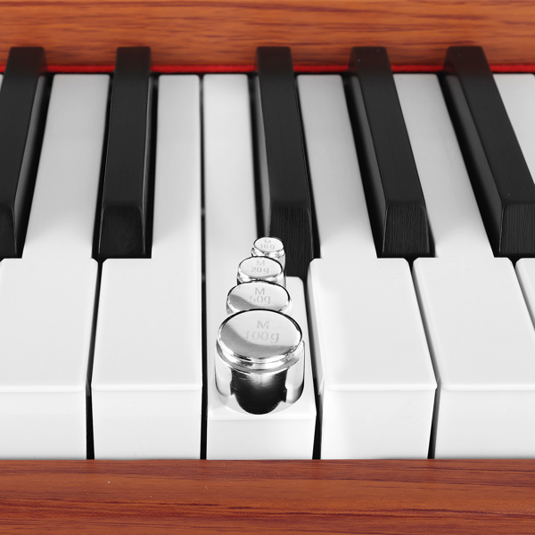 DIGITAL PIANO