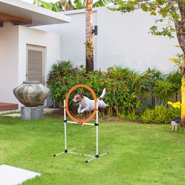 Dog Agility Training Equipment ( Amazon Shipping)（Prohibited by WalMart）