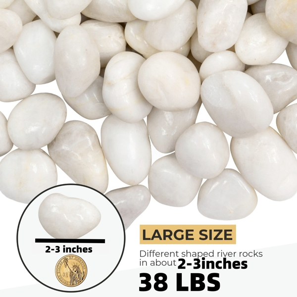 38磅白色河石，2-3英寸抛光鹅卵石-室内/室外使用的装饰性白色石头，非常适合植物、花瓶填充物、水族馆、鱼缸和花园景观（周末不发货，禁售亚马逊）-2