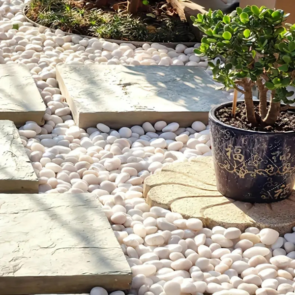 38磅白色河石，2-3英寸抛光鹅卵石-室内/室外使用的装饰性白色石头，非常适合植物、花瓶填充物、水族馆、鱼缸和花园景观（周末不发货，禁售亚马逊）-5