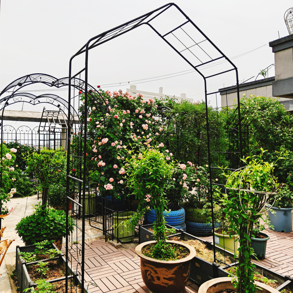 金属花园拱门 长 56.3 英寸 x 宽 16.93 英寸 x 高 94.5 英寸 攀缘植物支撑玫瑰拱门 户外 黑色-9
