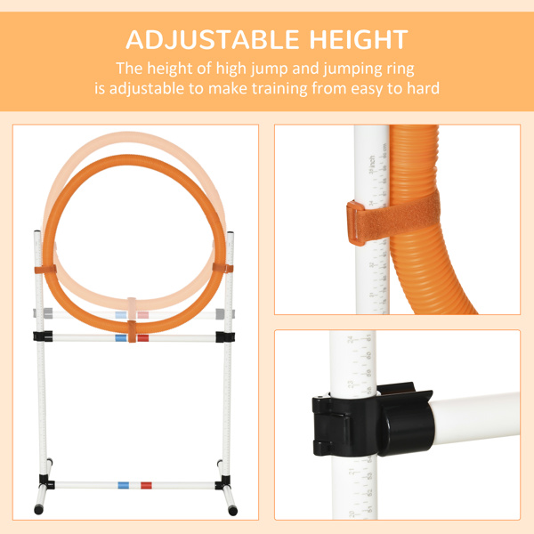 Dog Agility Training Equipment ( Amazon Shipping)（Prohibited by WalMart）