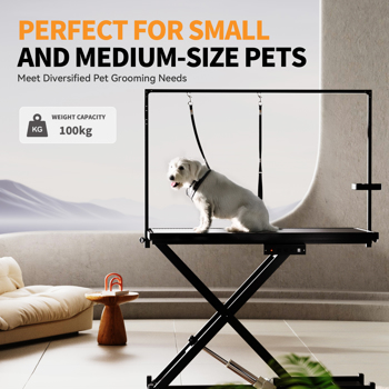 Professional Electric Dog Grooming Table - Heavy Duty, Height Adjustable <b style=\\'color:red\\'>Pet</b> Grooming Table w