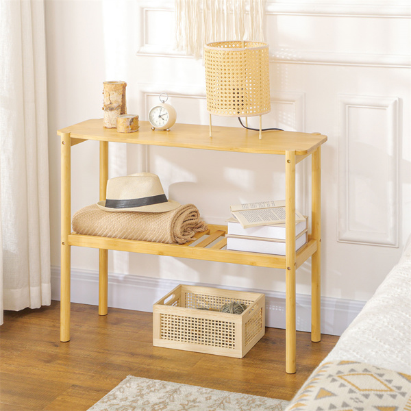Shelf Book/Storage Cabinet