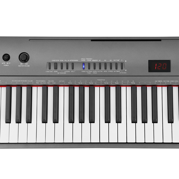 DIGITAL PIANO