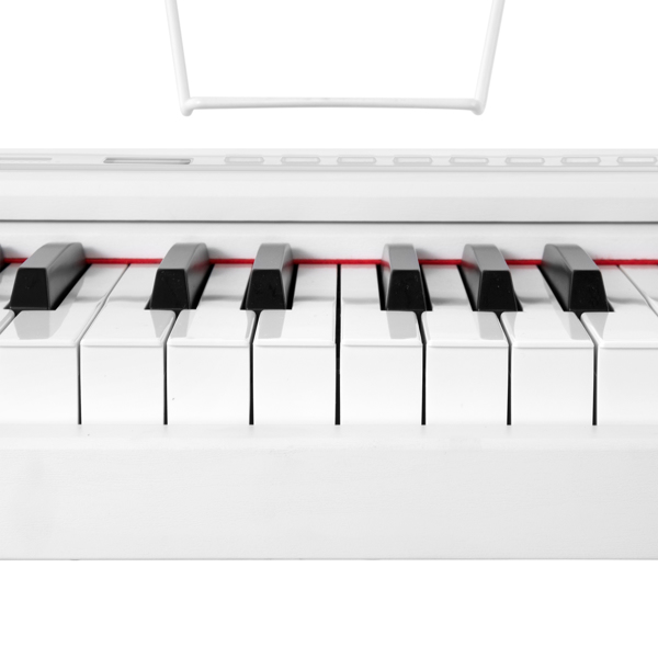 DIGITAL PIANO