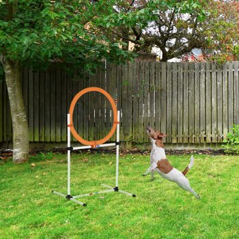 Dog Agility Training Equipment ( Amazon Shipping)（Prohibited by WalMart）