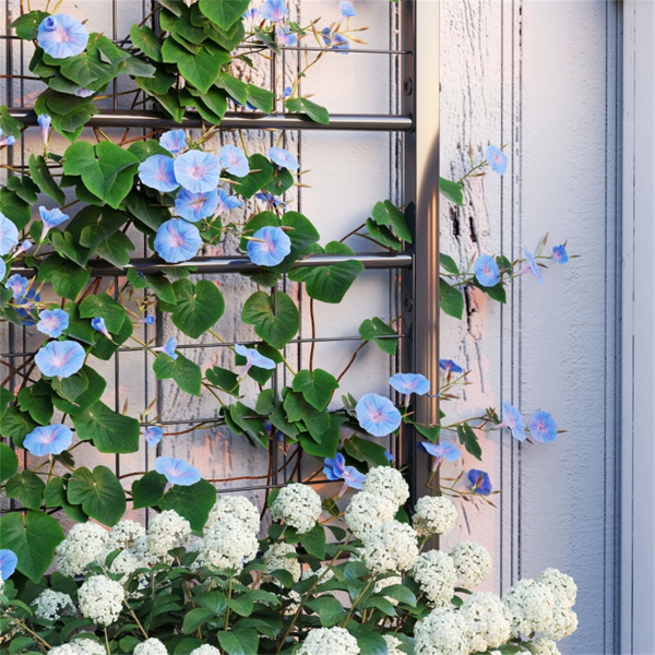 室内植物架、花架（周末不发货）（ Amazon Shipping）（WalMart禁售）-7