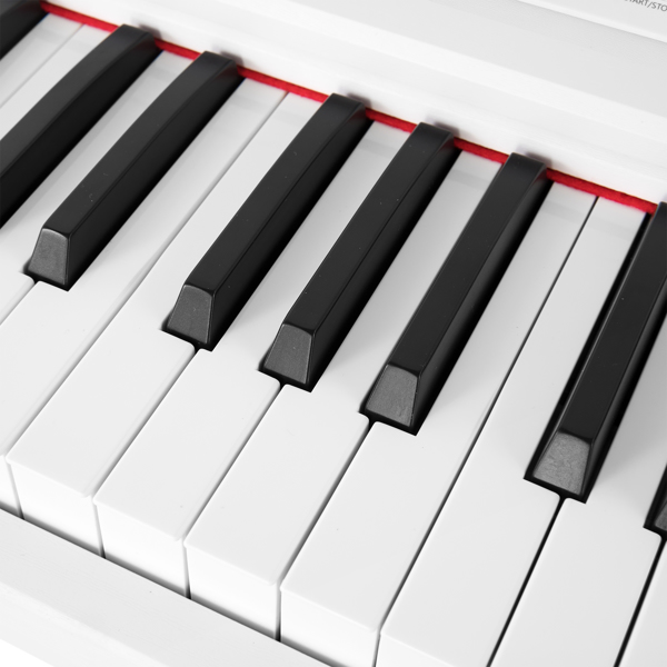 DIGITAL PIANO