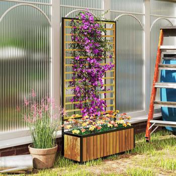 Wooden Raised Garden Bed