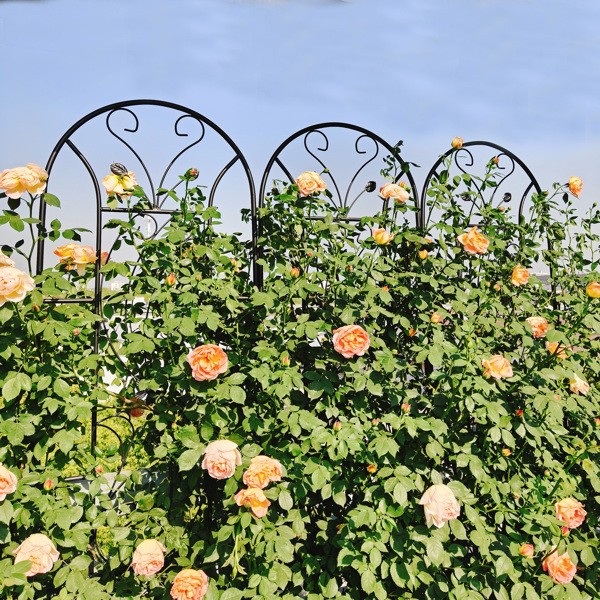 2 Pack Metal Garden Trellis 86.7
