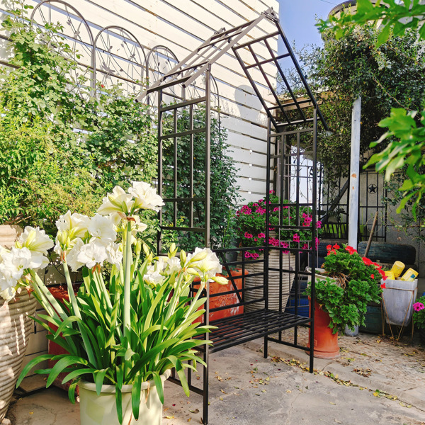 金属花园拱门带长凳可改装成花架 W58.07*H97.24 攀缘植物支撑玫瑰拱门户外黑色-15