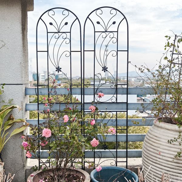 2 Pack Metal Garden Trellis 86.7